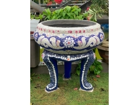 Chậu trái bần