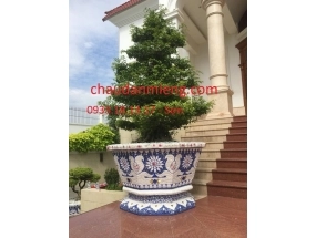 Chậu bát giác kích thước 1m2 lọt lòng