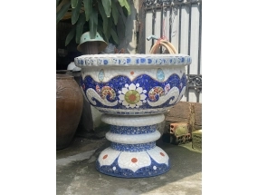 Chậu trái bần 60cm