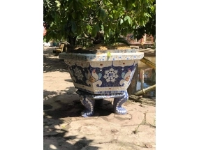 Chậu lục giác 80cm chân quỳ
