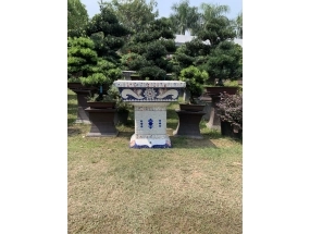 chậu chữ nhật đôn cao 2
