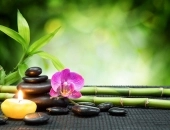 Mốt sơ-mi trắng được lòng mỹ nhân Việt trong tháng 5